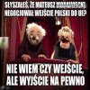Negocjacje Mateusza