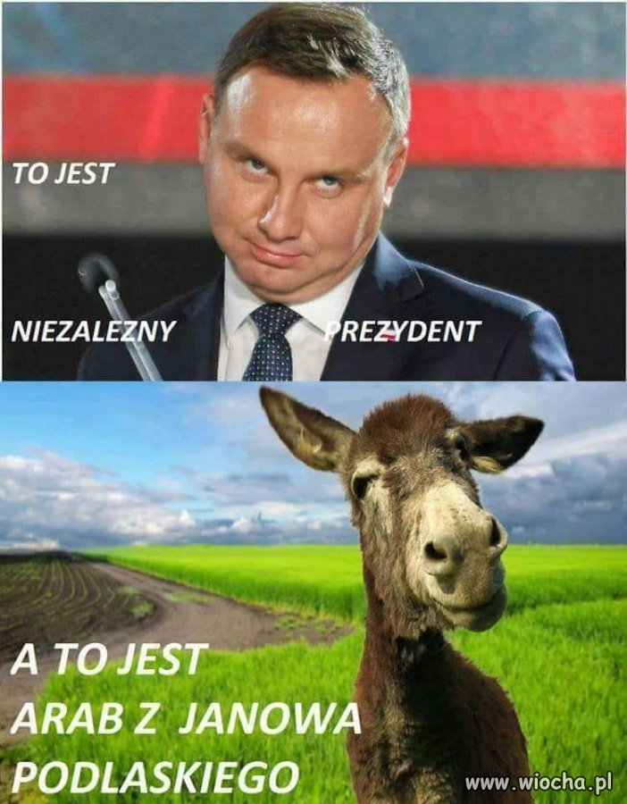 Arab mądrzejszy i przystojniejszy