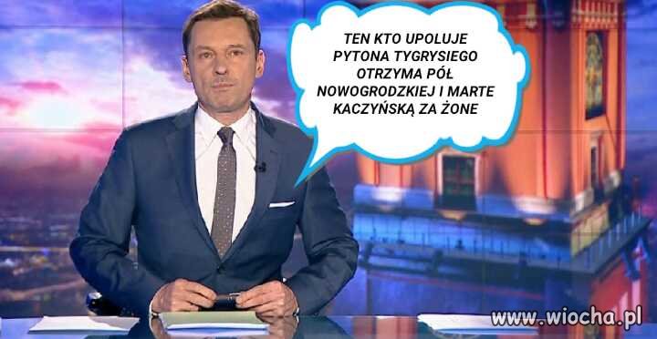 Jest oferta