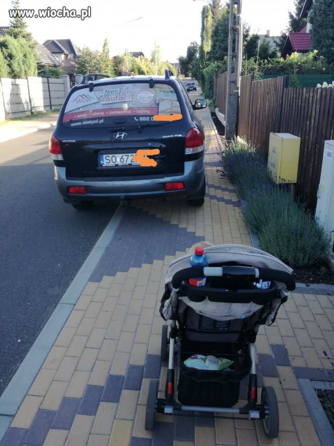Prawo jazdy znalezione w chipsach