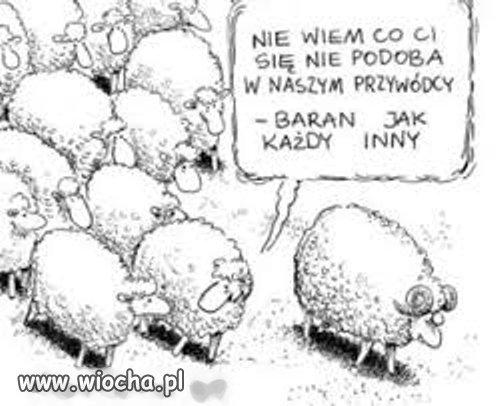 I proszę nie marudzić