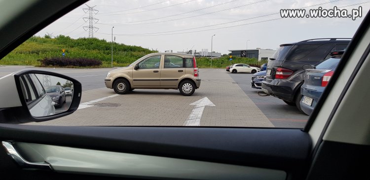 Parkowanie po Polsku 