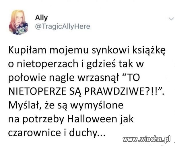 Nietoperze