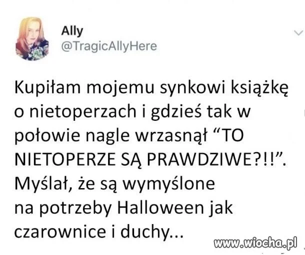 Nietoperze