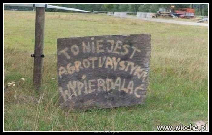Jasny i czytelny
