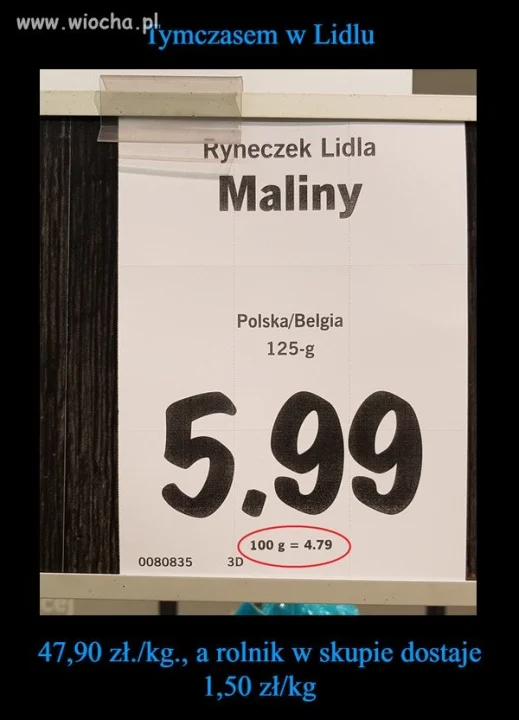 Rolnik