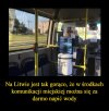 A u nas w autobusach