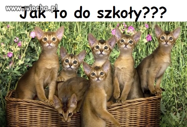 Gdy sobie uświadomisz że właśnie po wakacjach