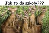 Gdy sobie uświadomisz że właśnie po wakacjach
