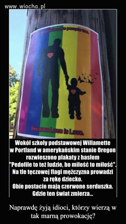 Bo pedofil to też człowiek...