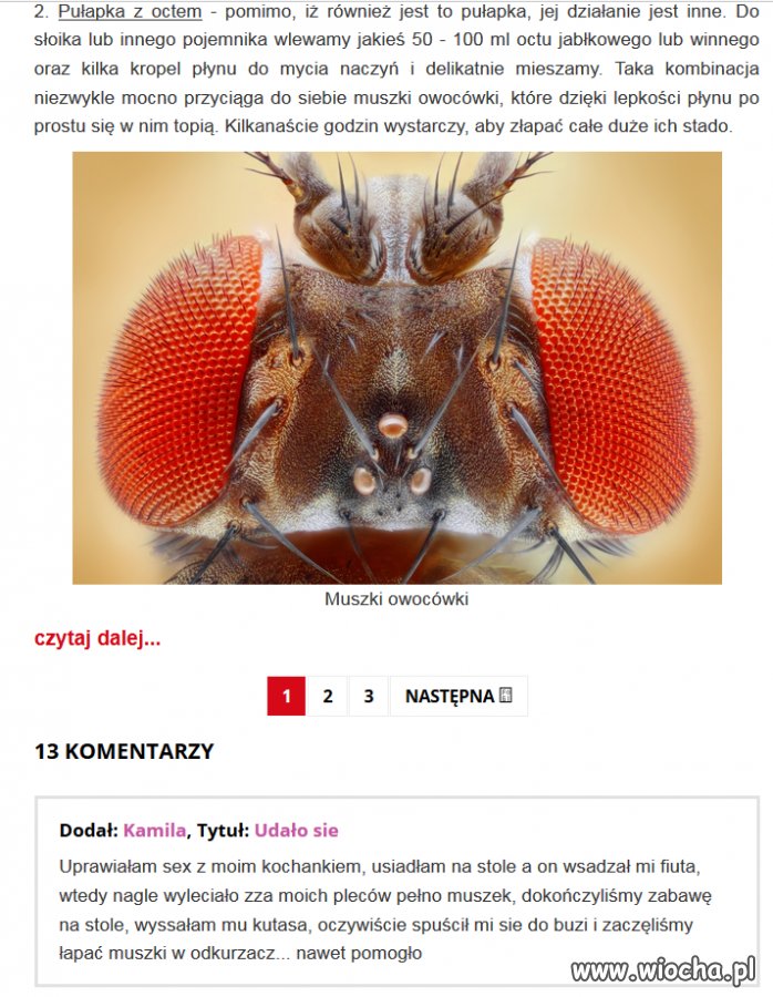 Pułapka