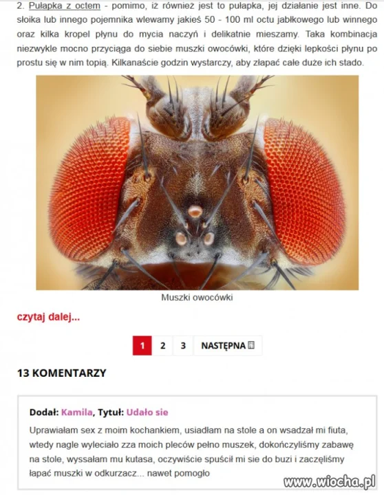 Pułapka