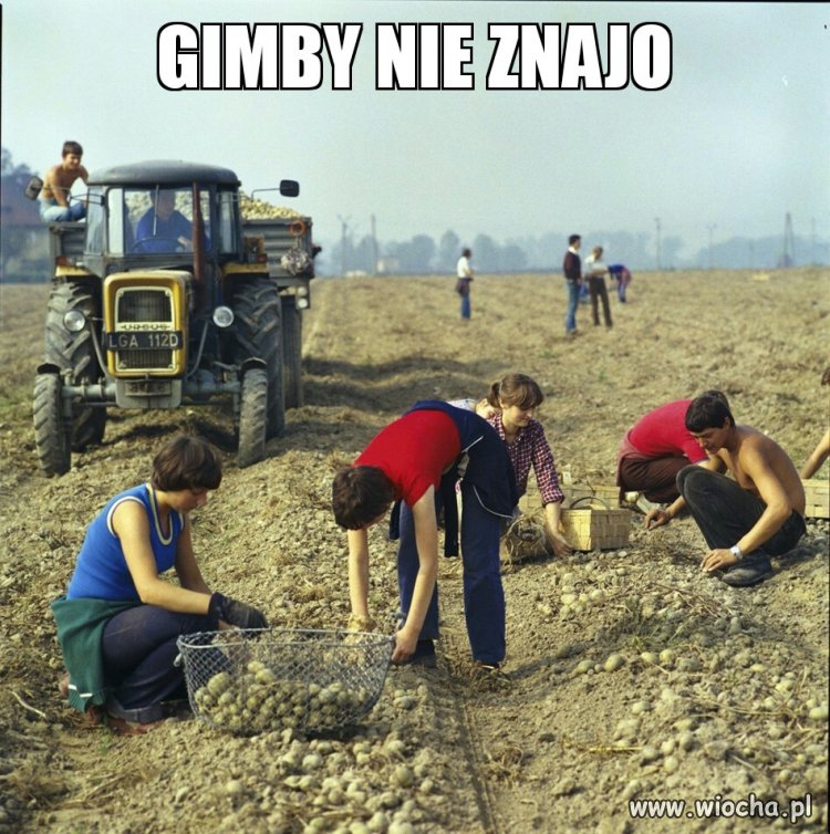 Gimby nie znajo