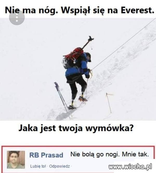 Wymówka