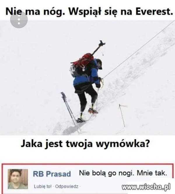 Wymówka