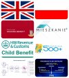 Ewidentnie PiS kopiuje wzorce UK