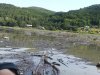 Jezioro Rożnowskie-klęska ekologiczna