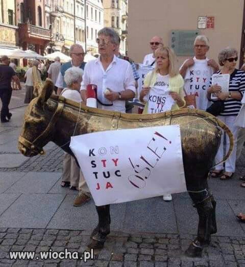 Ubrał osła,obraził prezydenta.