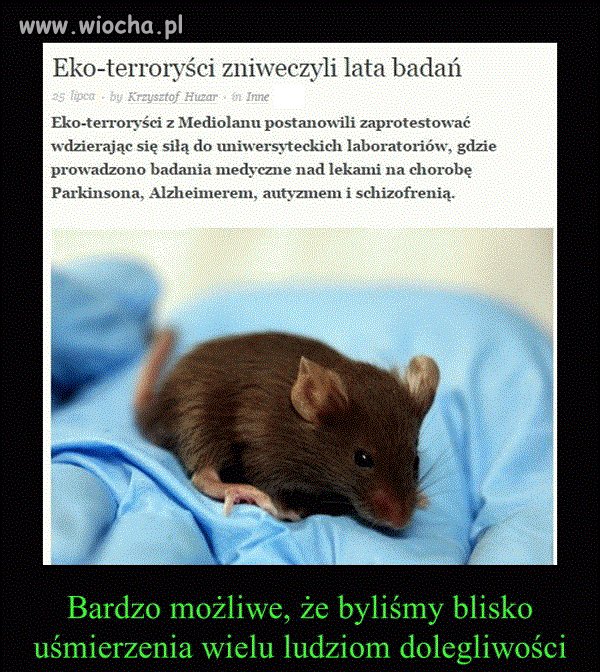 No cóż...