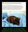 No cóż...