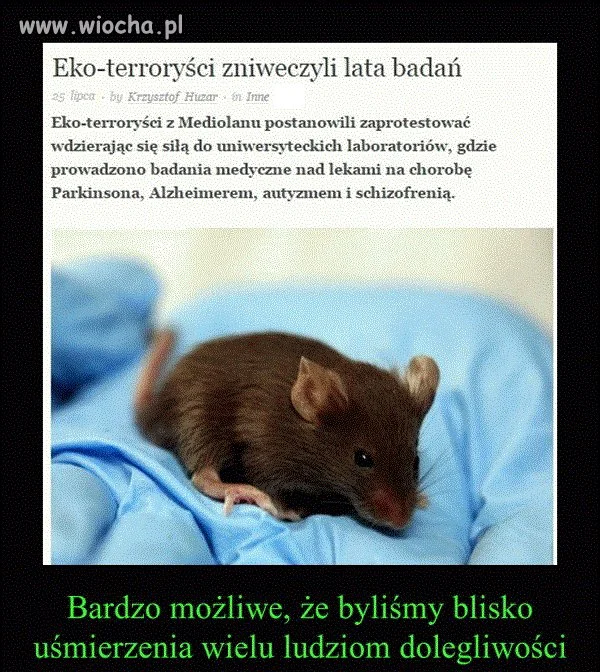 No cóż...