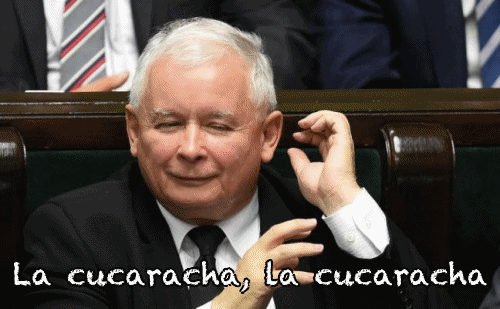 Ta radość, gdy szum wokół weta Dudy,