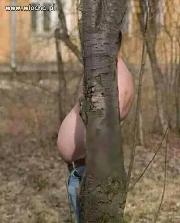 Schowany