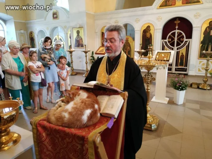 Kot ministrant do tego leniwy