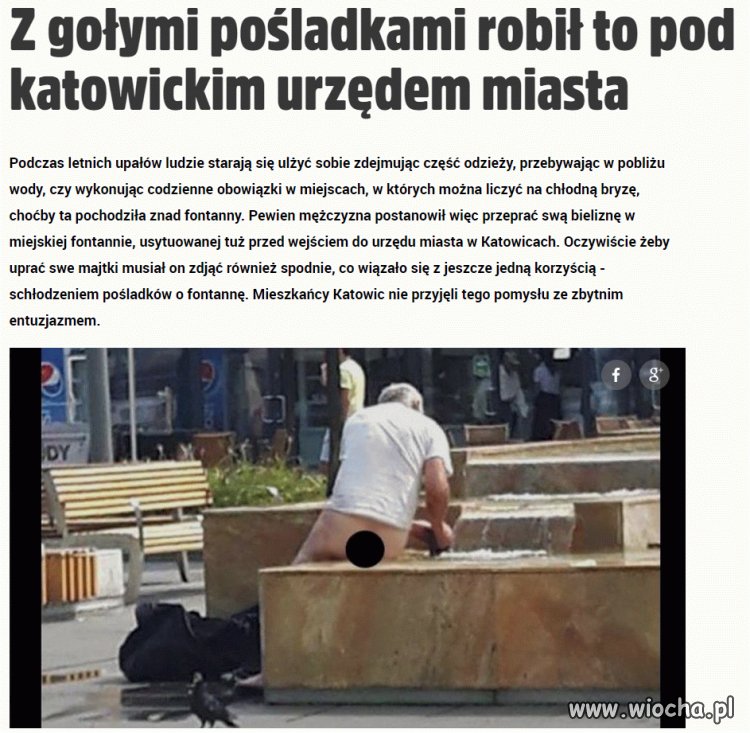 Wszystko przez ten upał