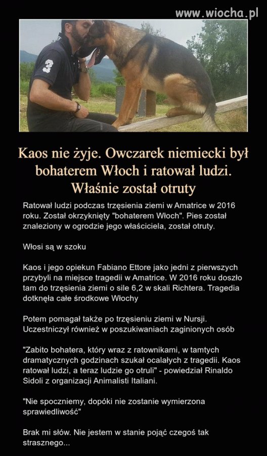 Brak słów