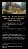 Brak słów