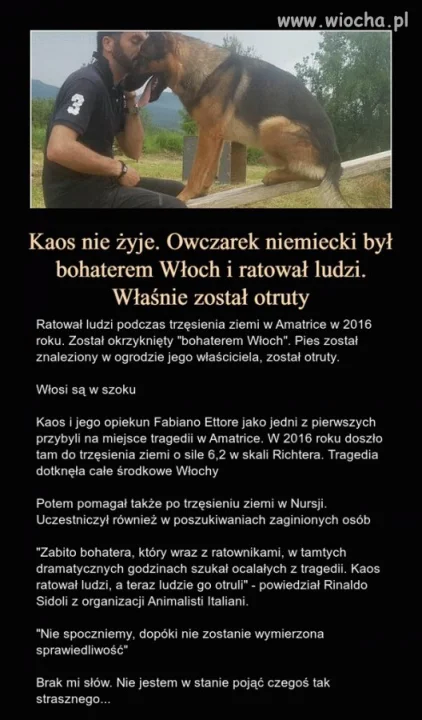 Brak słów