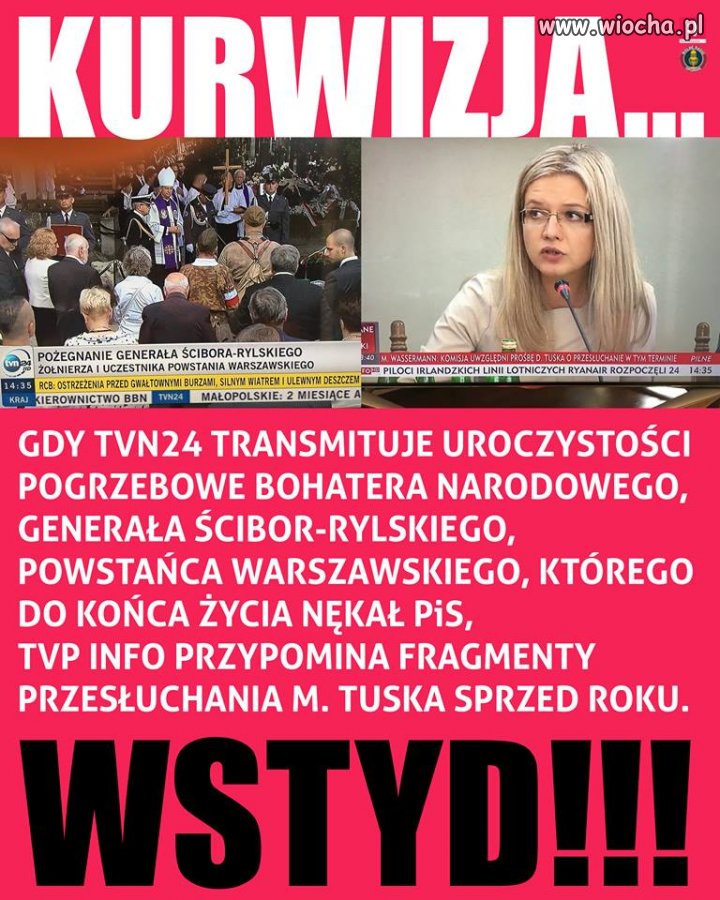 TVPis - dno i wodorosty