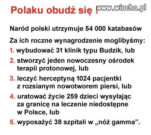 Tyle w temacie