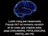 Ludzki mózg