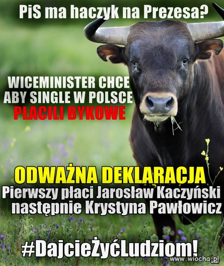 Dajcie ludziom