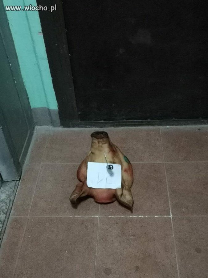 Przesyłka dla uchodźcy