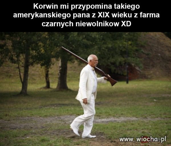 Coś w tym jest
