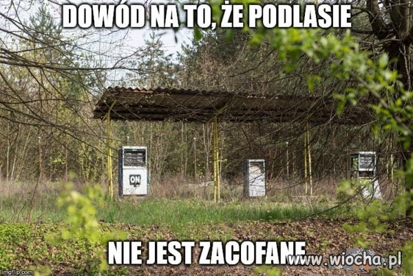 Znowu