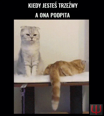  W związku ...