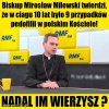 A świstak siedzi
