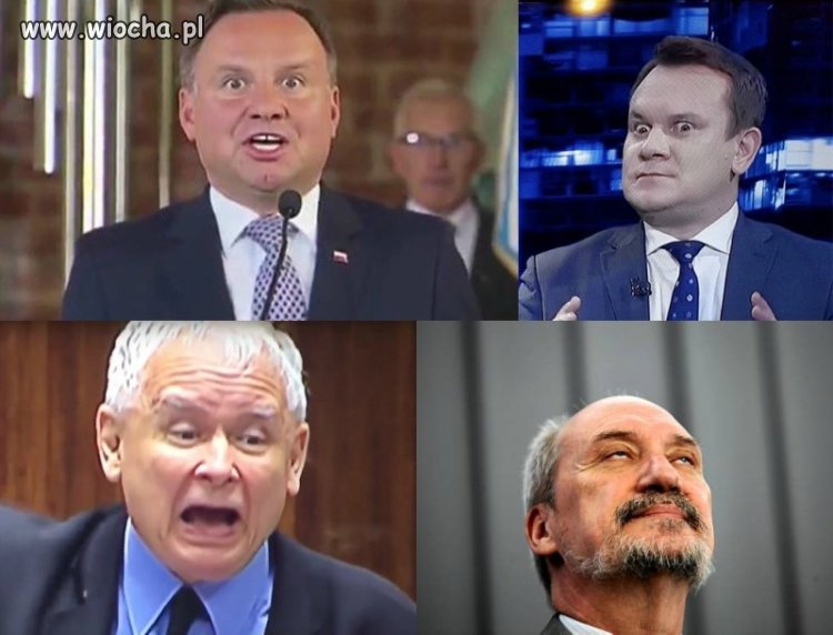 PiS to stan umysłu 