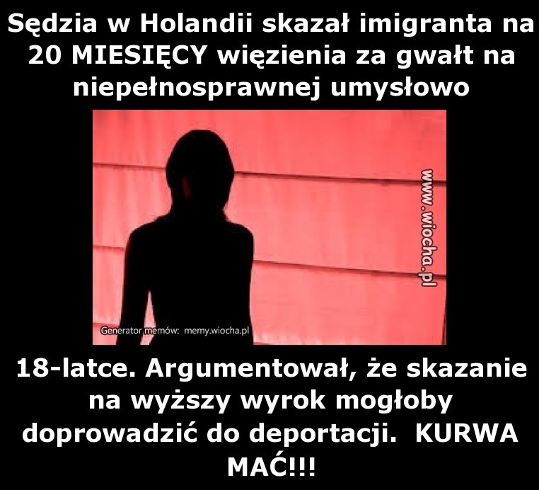 Sędzia w Holandii skazał imigranta na 20 MIESIĘCY