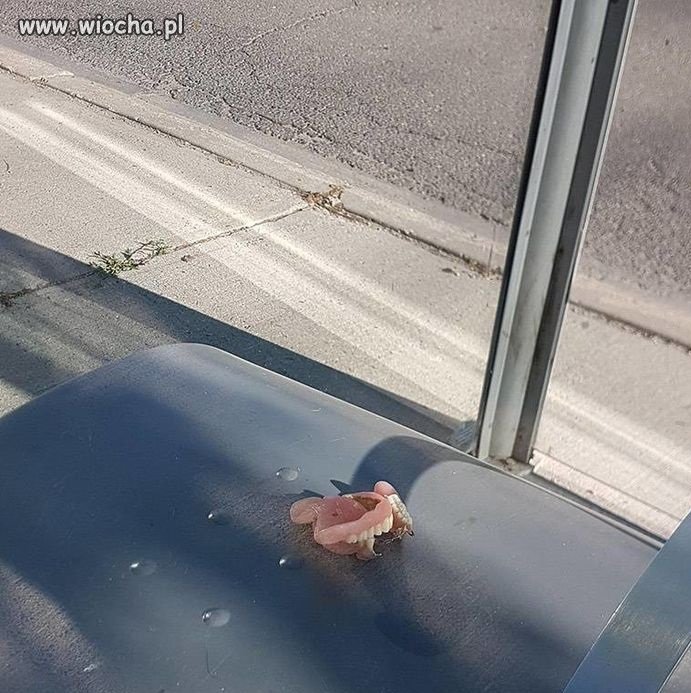 Tymczasem na przystanku