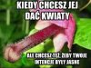 Intencje