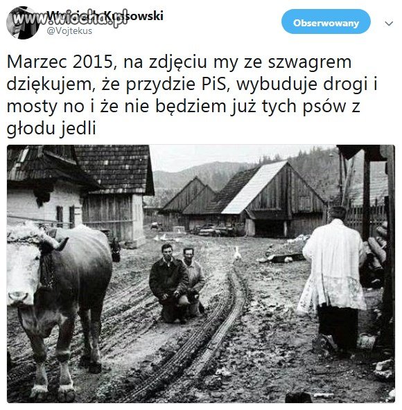Polska wieś 2015