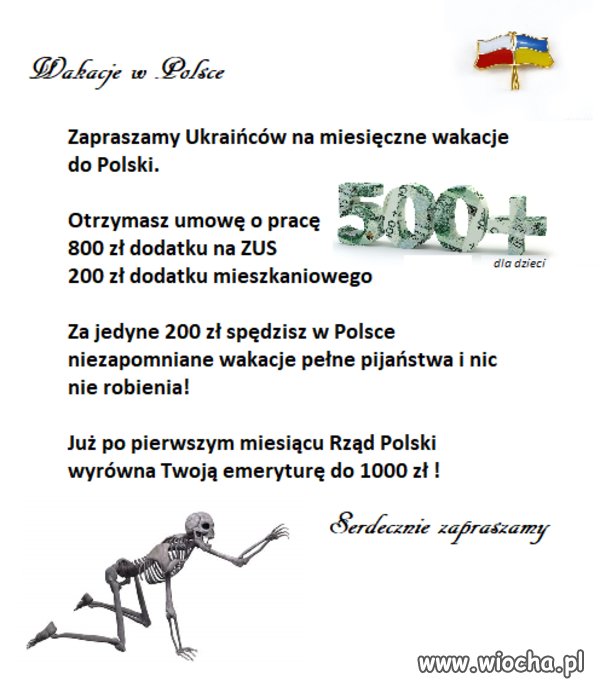 Zapraszamy