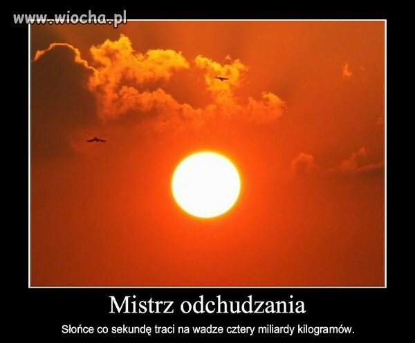Mistrz 