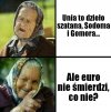 Logika pisiora.