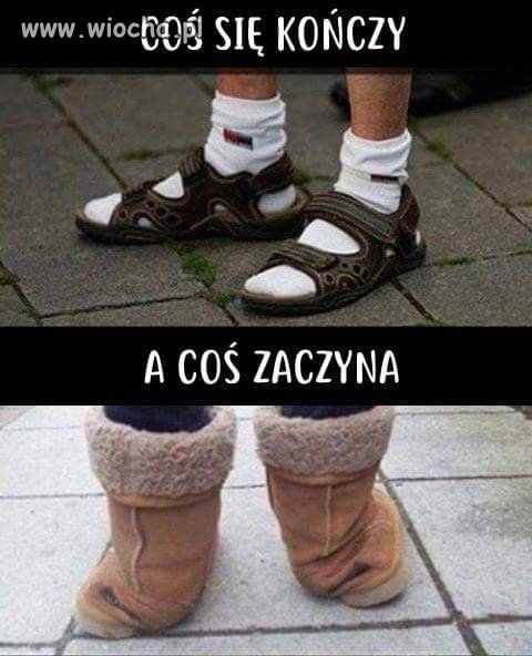 I wszystko 